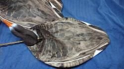 Чучела / флюгера гусей