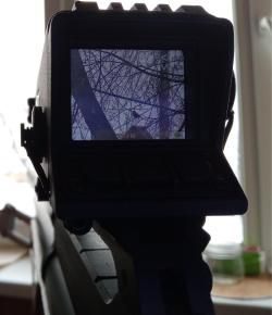 Цифровой Ночной прицел MS-32 (коллиматор)