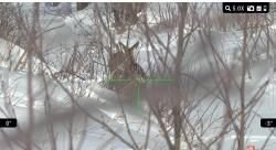 Цифровой прицел ATN LTV 5-15