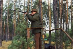   Раритет. Садочное МЦ 11-01 Royal/ Всего выпущено 9 шт.Выпускалось с 1954 по 1980 613 шт.