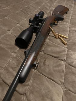 Classic Mannlicher engraving Gold с оптикой Zeiss Victory Diavari 6-24x56.
