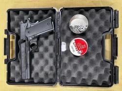 COLT GOVERNMENT