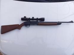 Crosman 2100 B