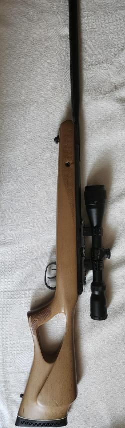 CROSMAN BENJAMIN TRAIL 