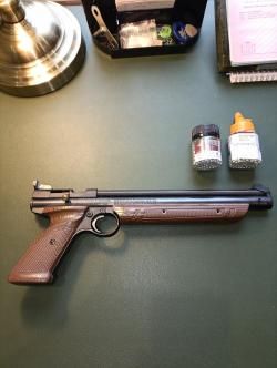 CROSMAN model 1377