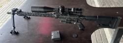 Custom Guns Next Level NL745 .308 WIN