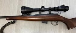 CZ 452-2E ZKM 22 wmr