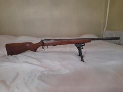 CZ 455 Varmint