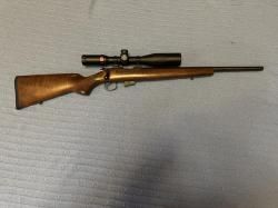CZ 452 Warmind 22 wmr