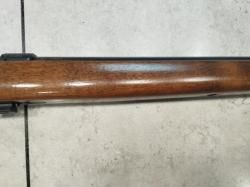Cz 455 22wmr varmint