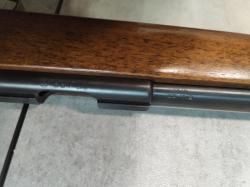 Cz 455 22wmr varmint