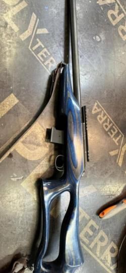 CZ 455 evolution varmint 22wmr