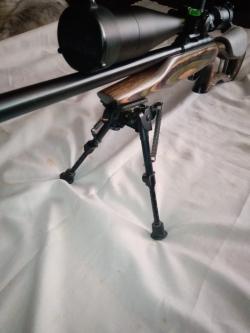 CZ 455 Evolution Varmint GG, кал. .22 WMR