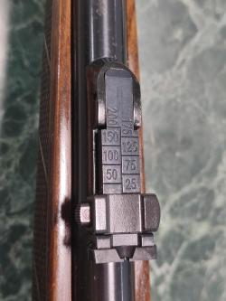 Cz 455 FE 22 Lr