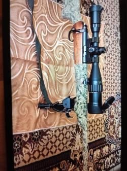 CZ 455 lux