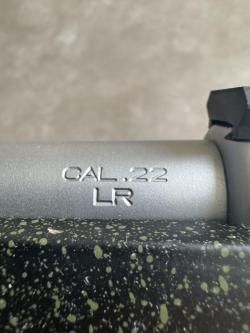 CZ 455 stailness steel 22LR