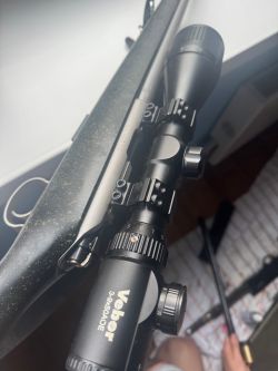 cz-455 stainless 22LR