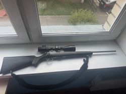 cz-455 stainless 22LR