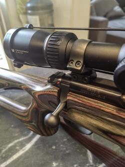 Cz 455 Varmint Evolution 22 lr