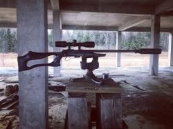 CZ 455 Varmint Evolution 22 wmr