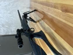 CZ 455 varmint evolution 22lr