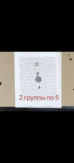 Cz 455 varmint