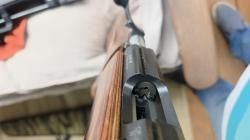 CZ 455 Varmint/Thumbhole.22 WMR  