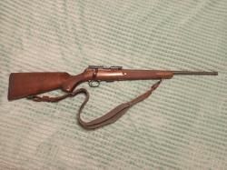 CZ-457 American beech