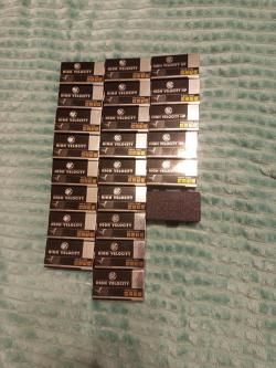 CZ-457 American beech