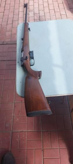 Cz 527, 223pem