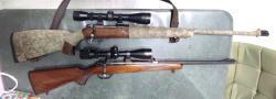 CZ 527 carbine 223 rem