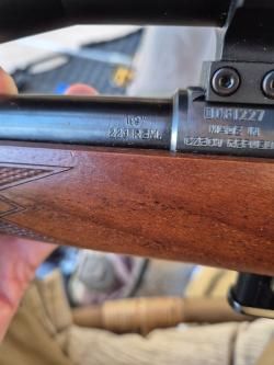CZ-527 Varmint american кал. 223 Rem