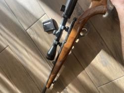 CZ 527