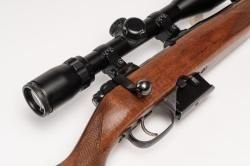 CZ-527
