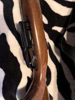 CZ 527