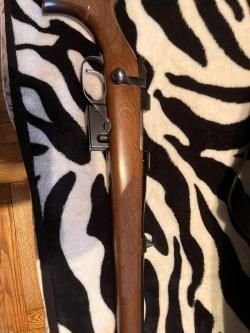 CZ 527