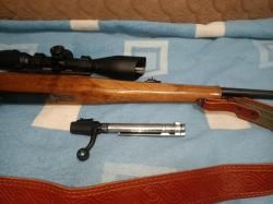 CZ 550 калибр 243 Win.