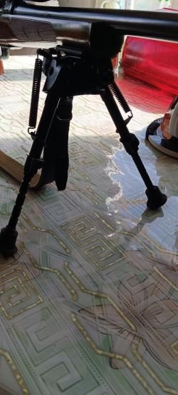 CZ 550 калибр 308