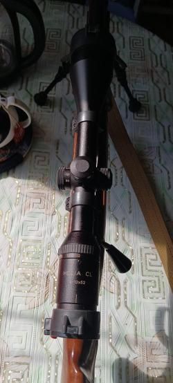 CZ 550 калибр 308