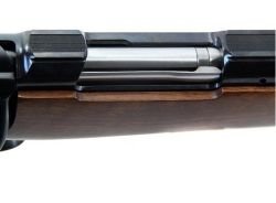CZ 550 Lux .243 Win