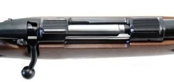 CZ 550 Lux .243 Win