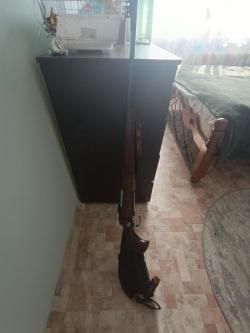 cz 550 lux siberian edition