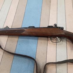 CZ 550 lux