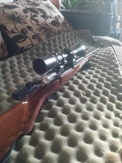 CZ 550 Lux