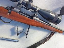 Cz 550 standard 