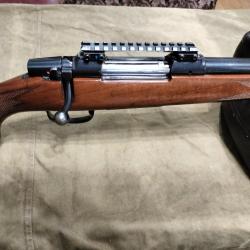 cz 550 varmint 308