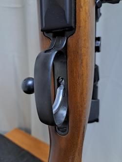 CZ-550 varmint 308win