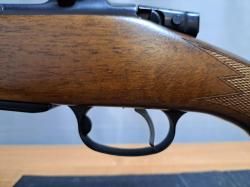 CZ-550 varmint 308win