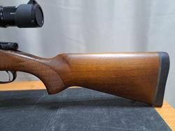 CZ-550 varmint 308win