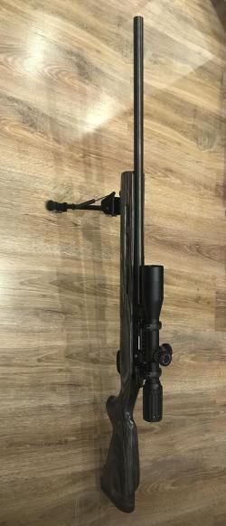 CZ 550 varmint laminat 308